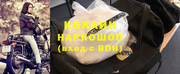 сатива Дмитровск