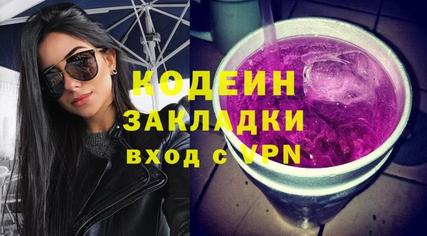 прущие грибы Ельня