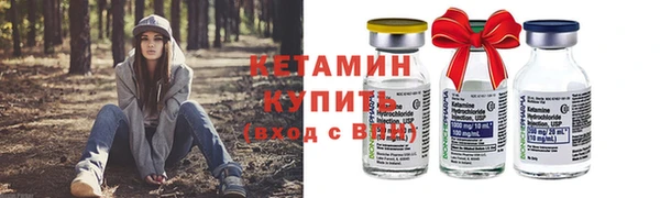 прущие грибы Ельня