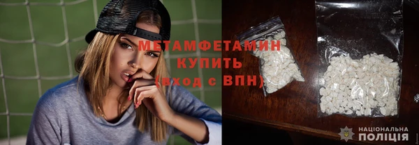 сатива Дмитровск