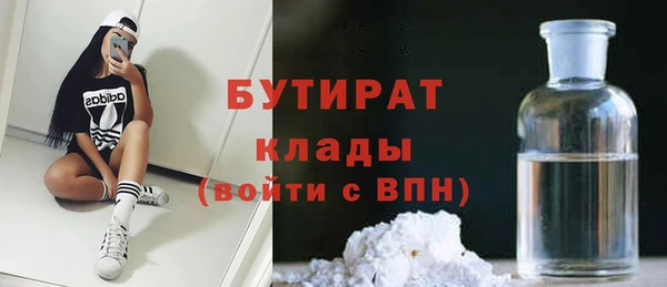 прущие грибы Ельня