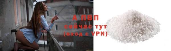 мяу мяу мука Дмитриев