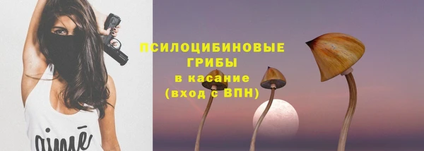 сатива Дмитровск