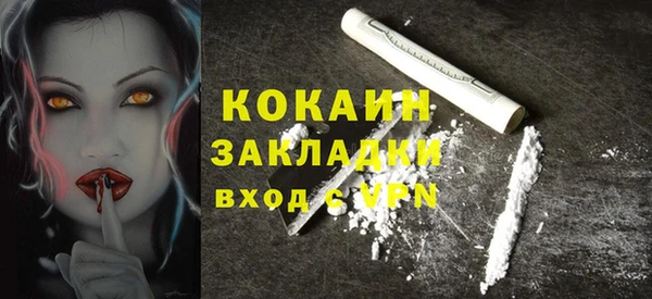 мяу мяу мука Дмитриев