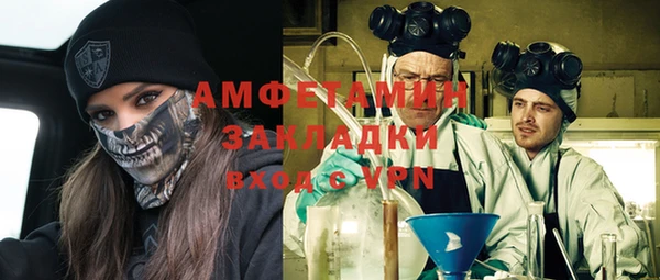 прущие грибы Ельня