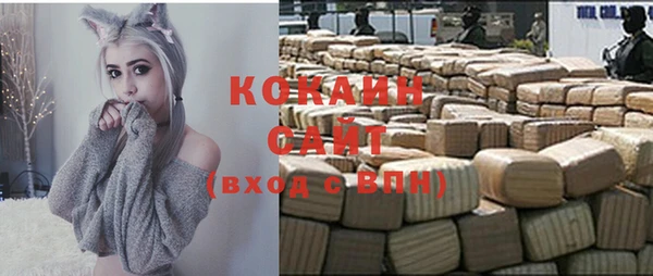 прущие грибы Ельня