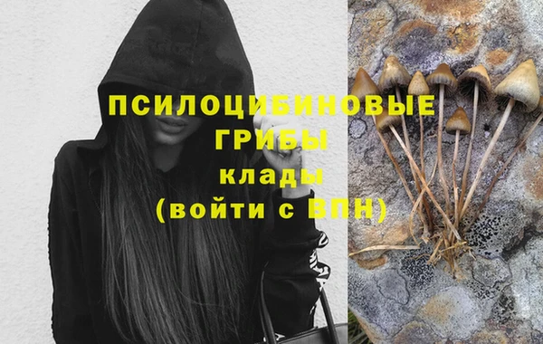сатива Дмитровск