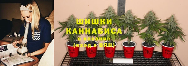 сатива Дмитровск